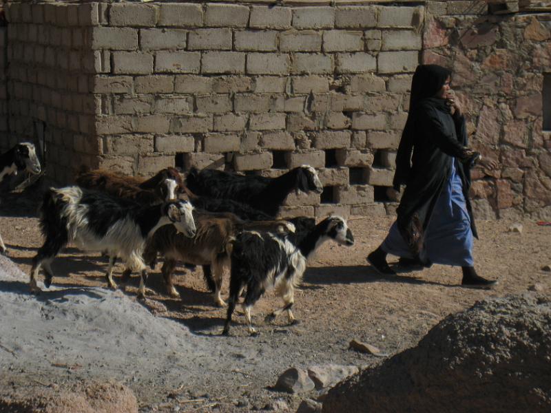 Dahab selectie 2010_01_14 13h27m.jpg - Wadi Arada